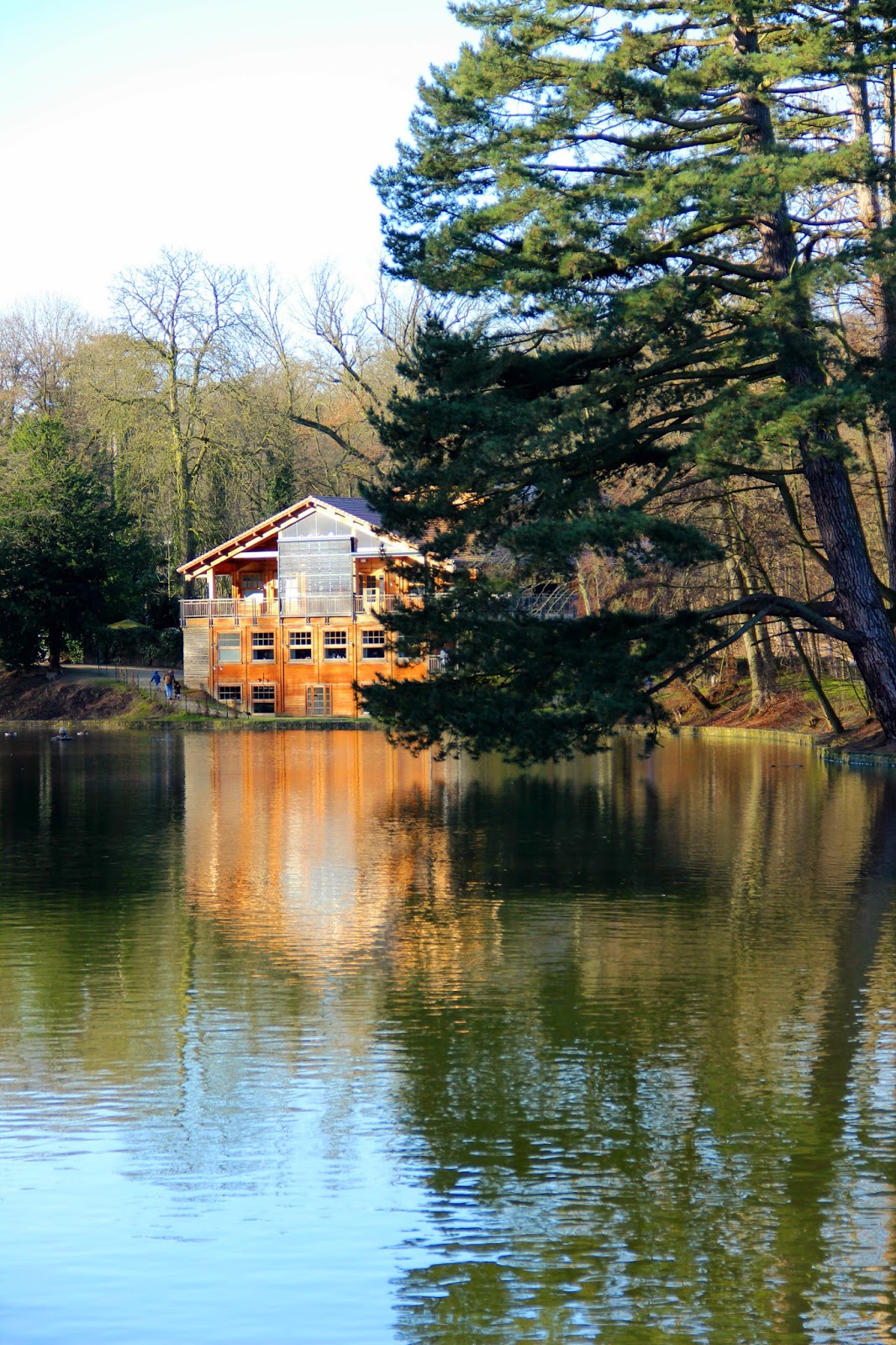 365 sonrisas: All about pears