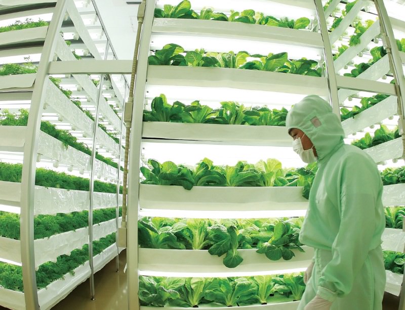 What challenges does indoor farming face today? | world agriculture What challenges does indoor farming face today? | world agriculture
