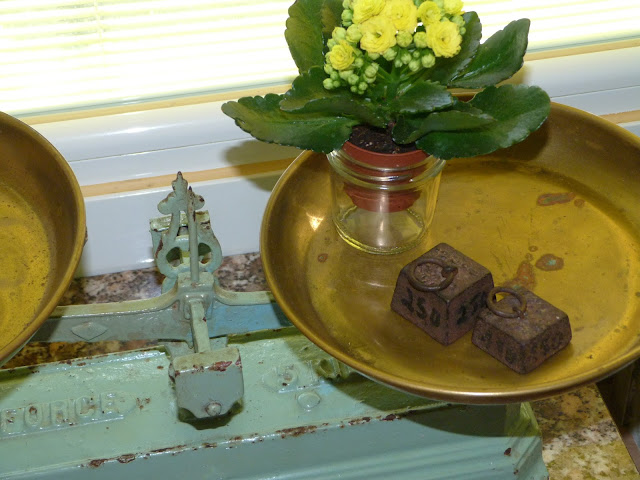 Caja para plantas aromaticas - Isabel Vintage