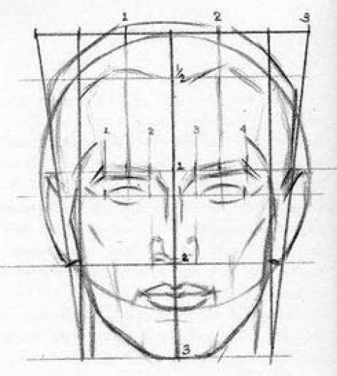 Gurney Journey: Part 4. The golden mean and the human body