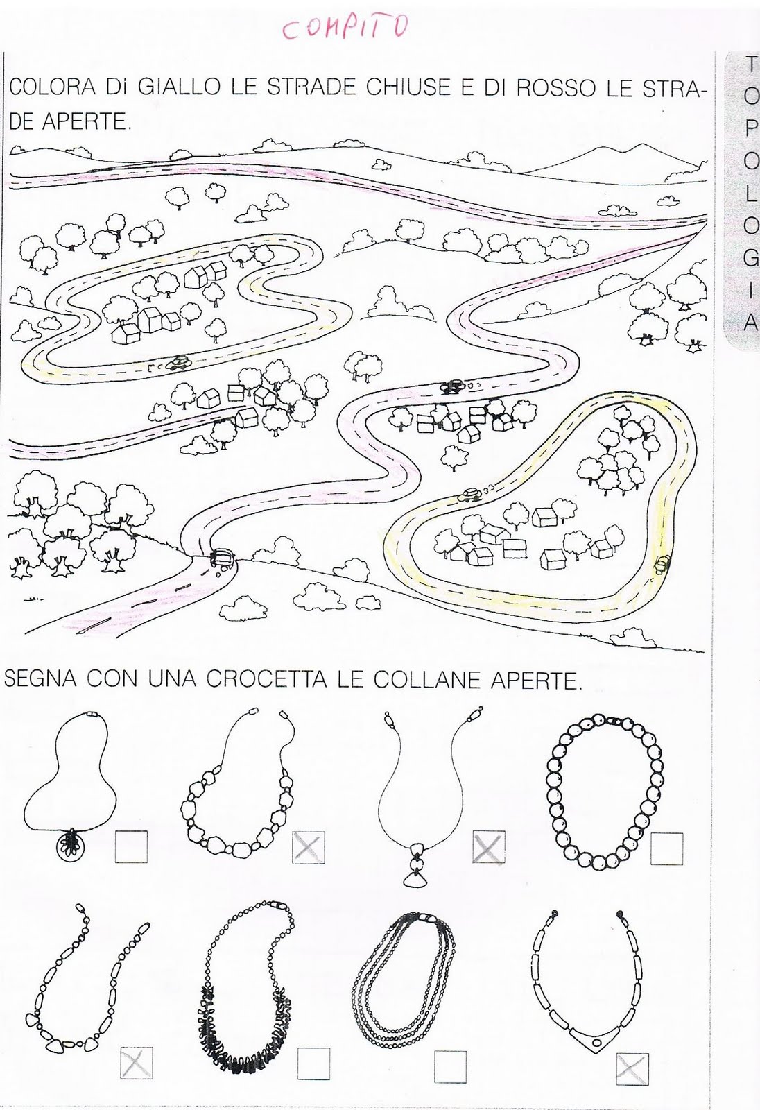 Schede Didattiche Linee Aperte E Chiuse Classe Prima