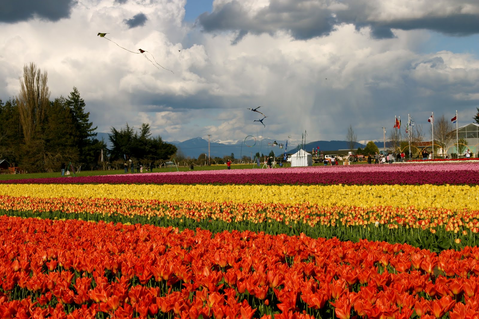 101 Uses for a Cardboard Box Spring Refresh