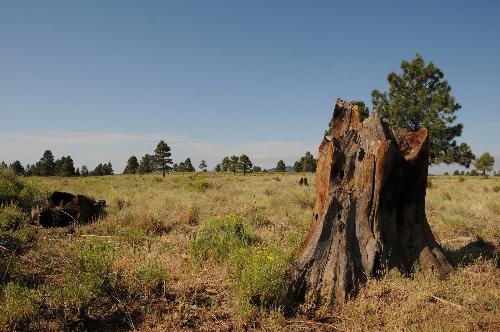 Arizona Hiking OBSERVATORY MESA NATURAL AREA