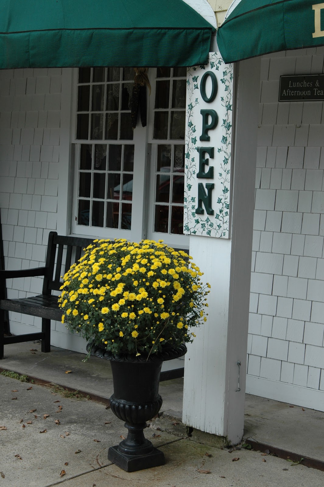 deborah jean's DANDELION HOUSE and GARDEN The Dunbar Tea Room