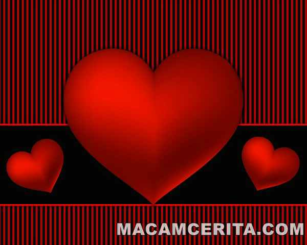 Cerbung Cinta Romantis Suami Idaman Episode 19 Macam Cerita