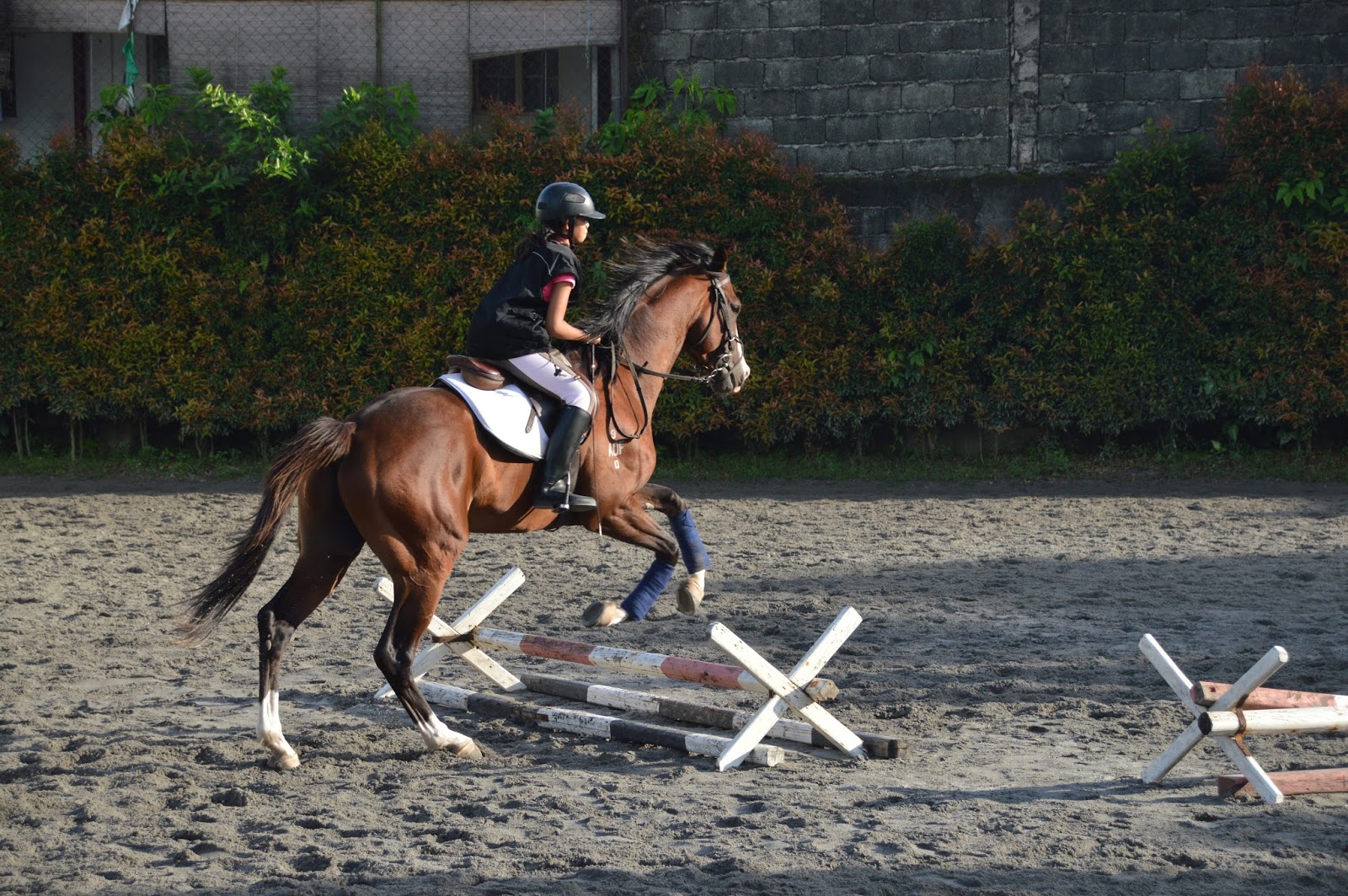 Horse Riding Philippines Yana Loves the Cavaletti Horse Riding Lesson