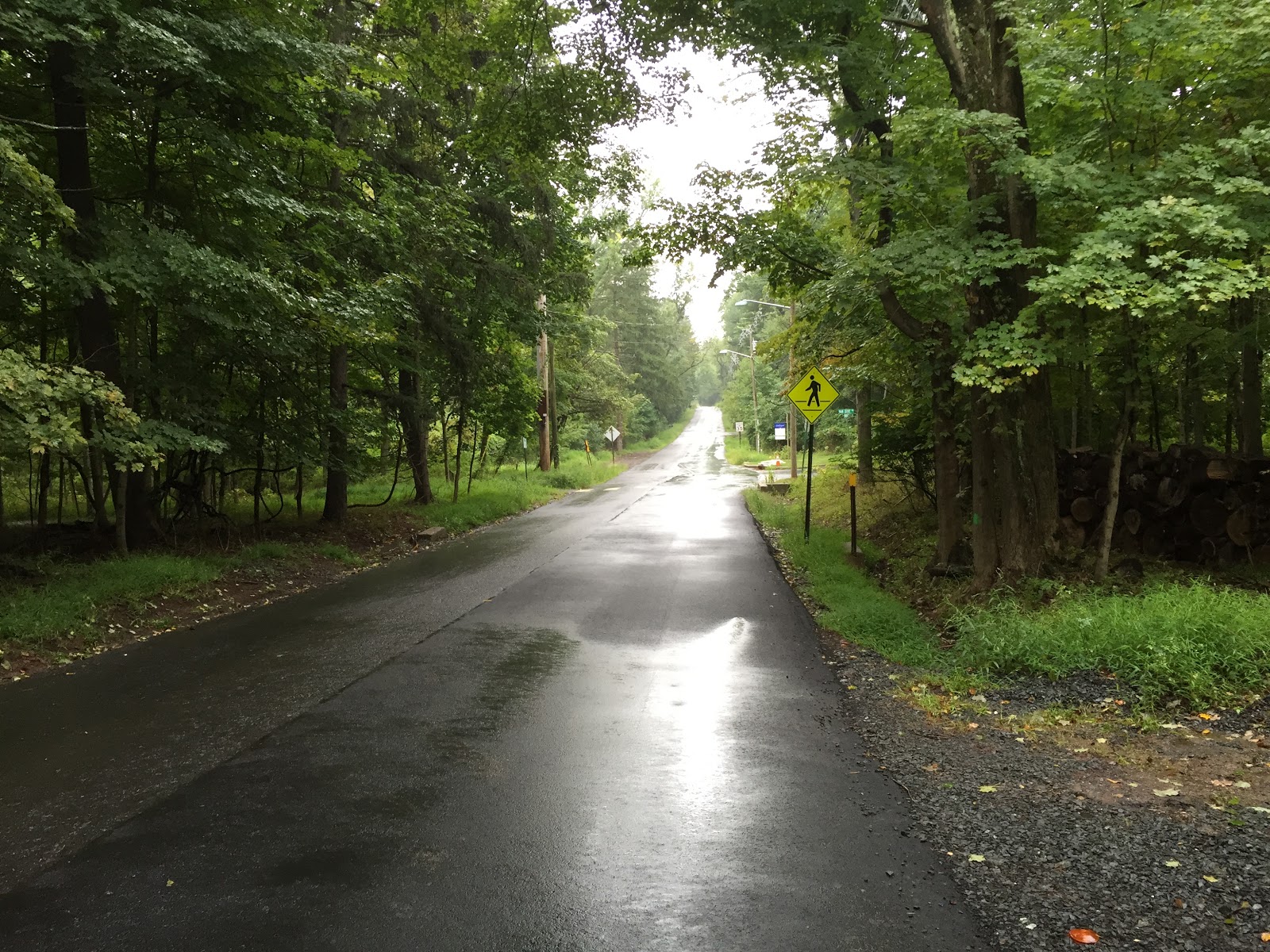 Princeton Nature Notes Changes Coming to Snowden Lane