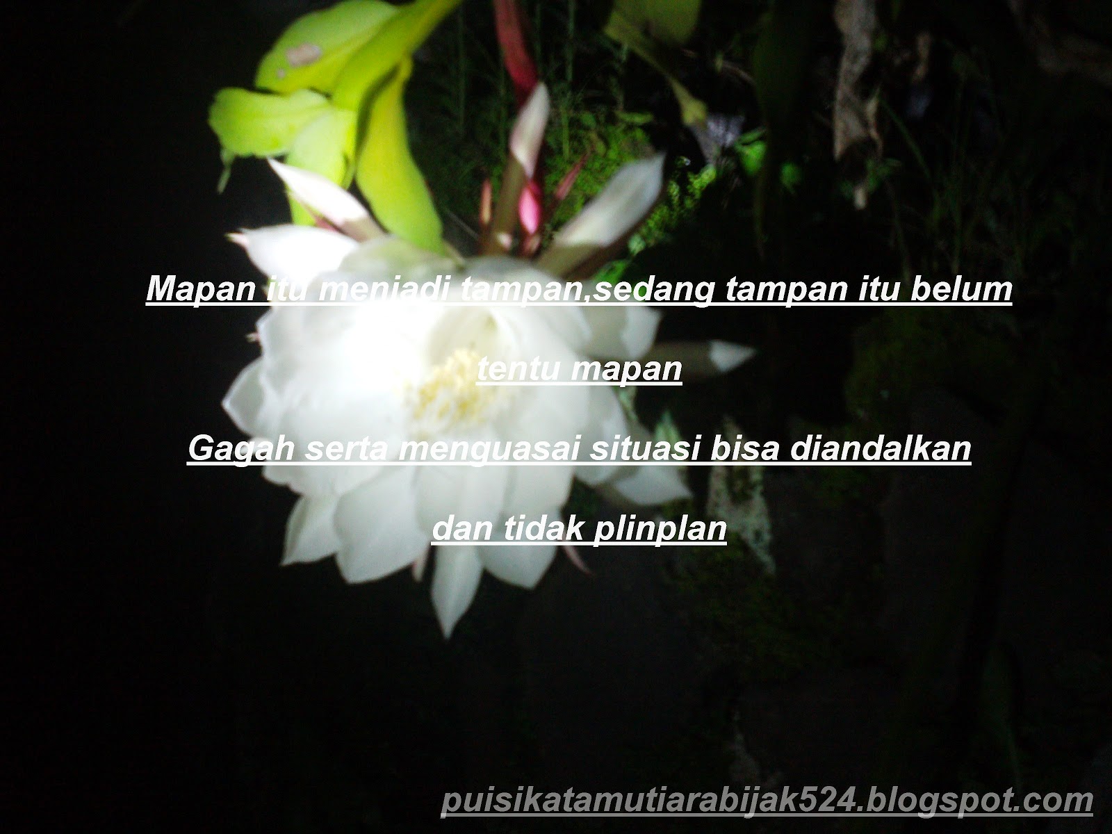 Koleksi Gambar Wallpaper Kata Keren Wallpaper