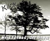 https://jahreszeitenbriefe.blogspot.com/search/label/Mein%20Freund%20der%20Baum