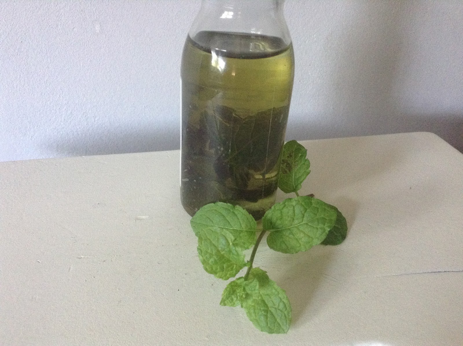 Nanabelle Receta aceite macerado de menta