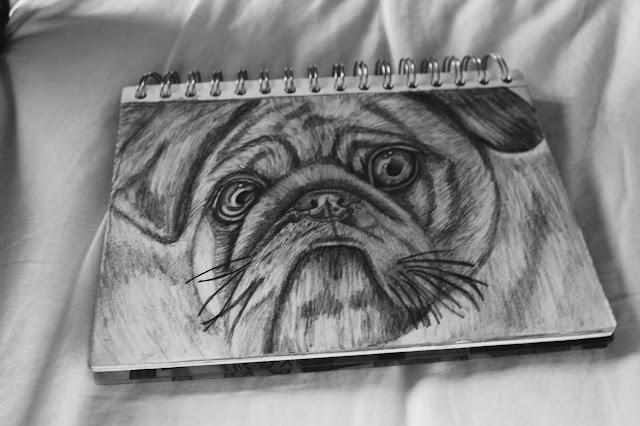 pug drawing
