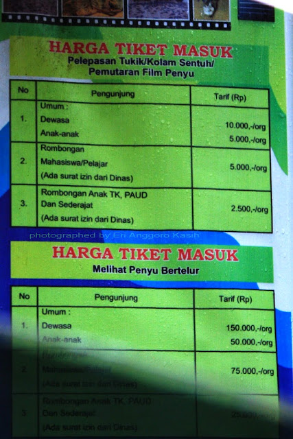 Harga Tiket Masuk ke penangkaran penyu. Mahal banget untuk melihat penyu bertelur Harga Tiket Masuk ke penangkaran penyu. Mahal banget untuk melihat penyu bertelur