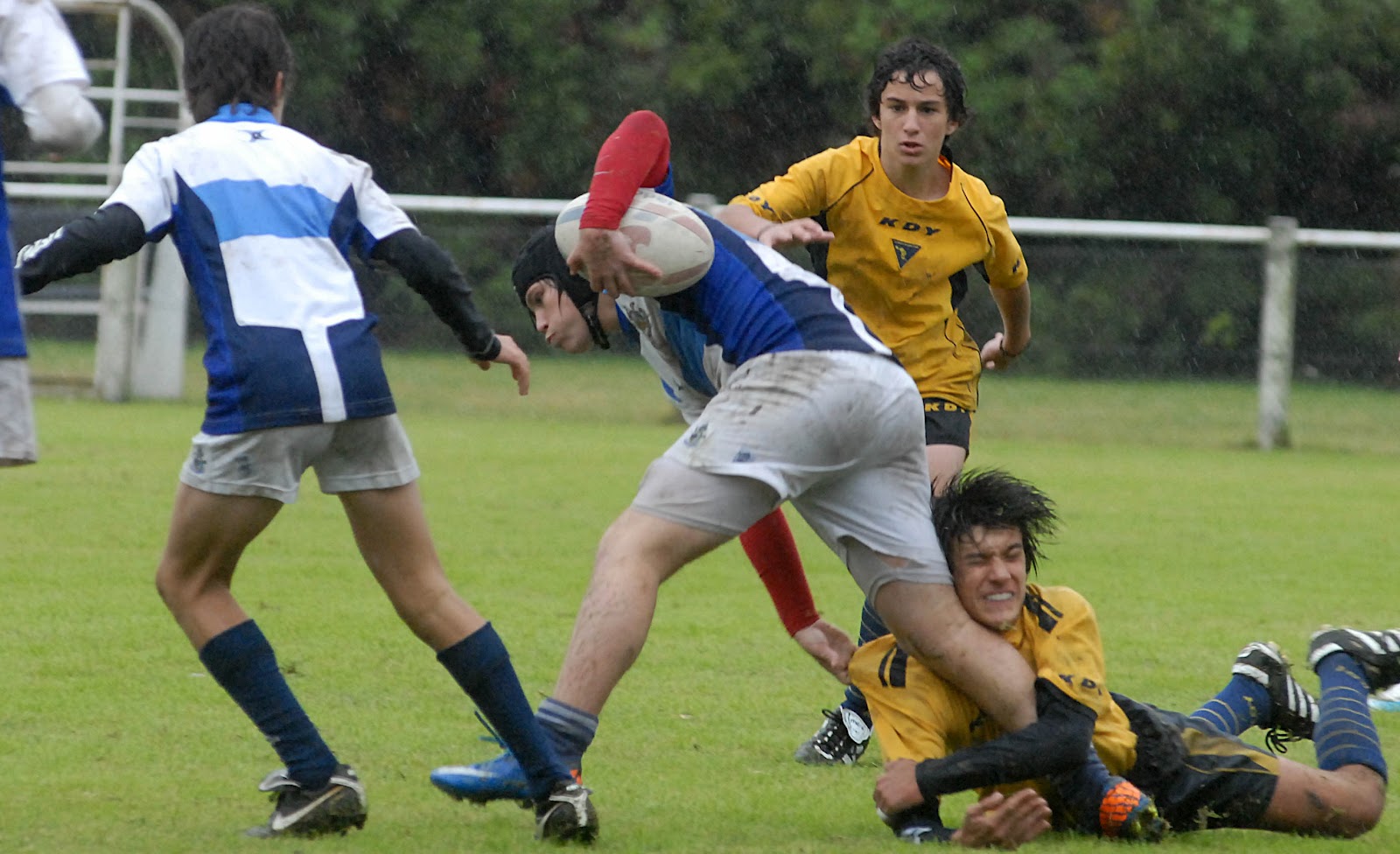 La Plata Rugby Club 1998 abril 2012