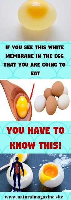 If You See This White Membrane In The Egg That You Are Going To Eat You Have To Know This!