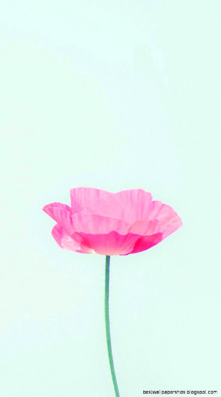 1000 images about iphone Wallpapers on Pinterest  iPhone