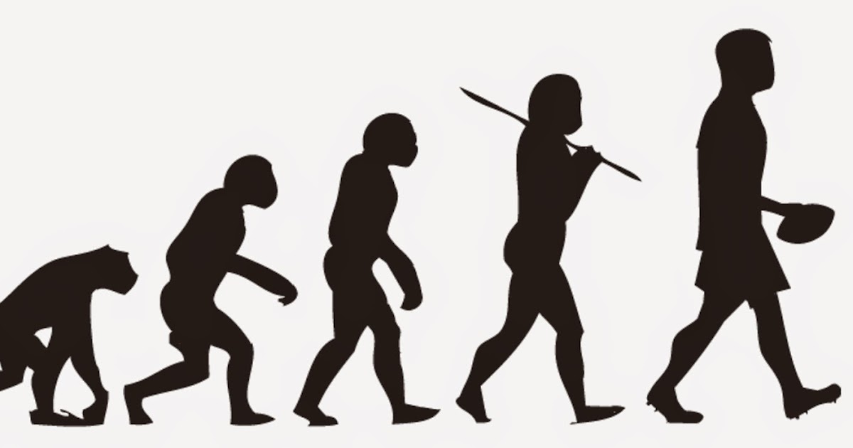 от обезьяны к человеку. развитие человека. человек эволюция и антропология. эволюция ассоциации. от обезьяны до человека.