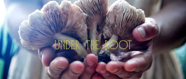 UNDER THE ROOT