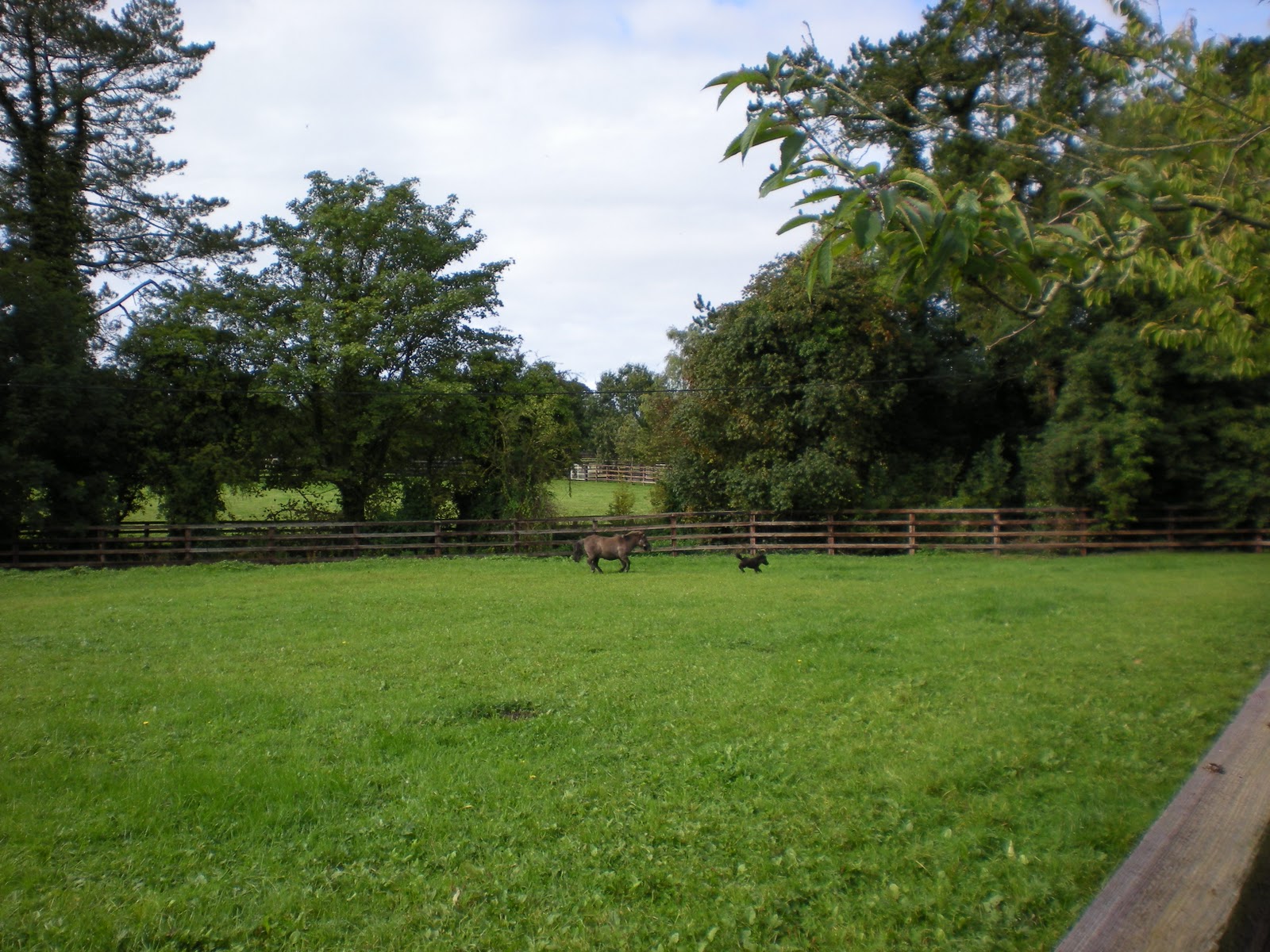 ToshMaHaul Kildare National Stud Farm, Kilkenny, and Waterford
