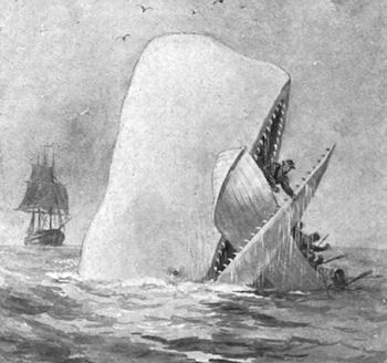 The Presurfer: Why Does Moby-Dick Have A Hyphen?