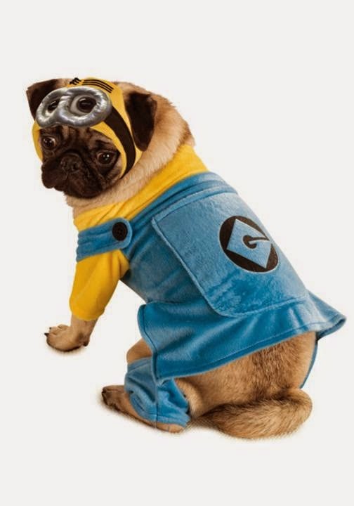 Dog Minion Costume