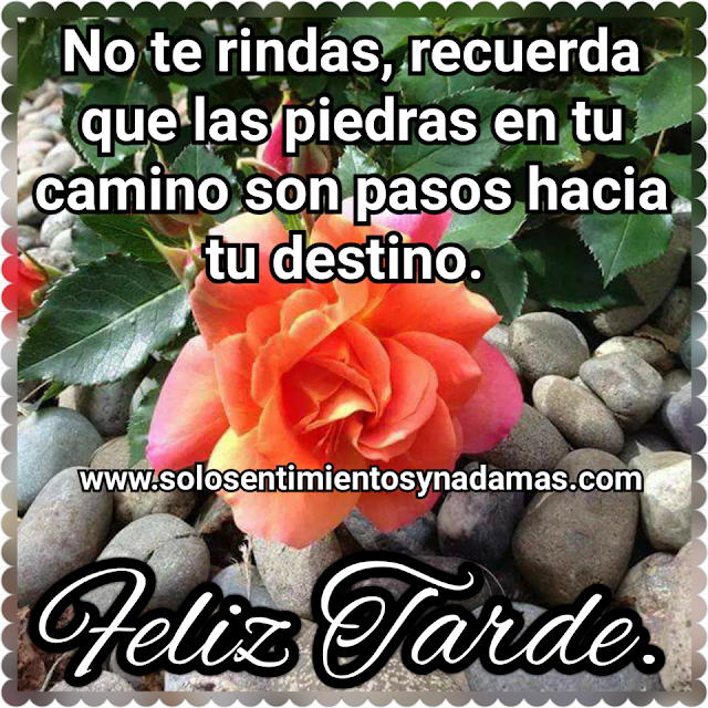 Feliz tarde.