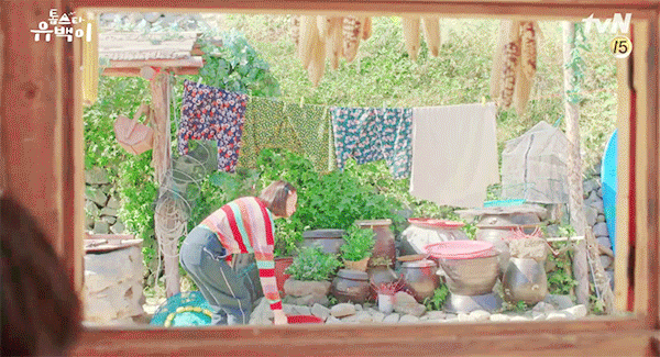 theqoo inserted image