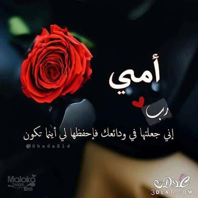 صور فراق الام