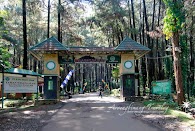 Mount Pancar Hot Springs, Bogor