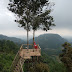 Rumah Pohon Habitat : Wisata Panorama Alam di Langkat, Sumatra Utara