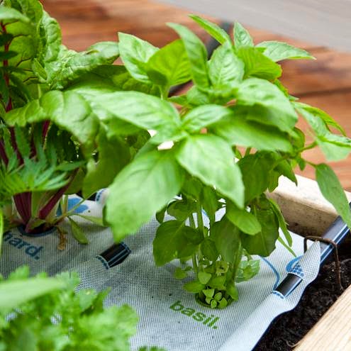 Gardening of World Afflopedia
