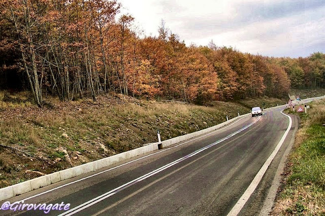 foliage autunno casentino