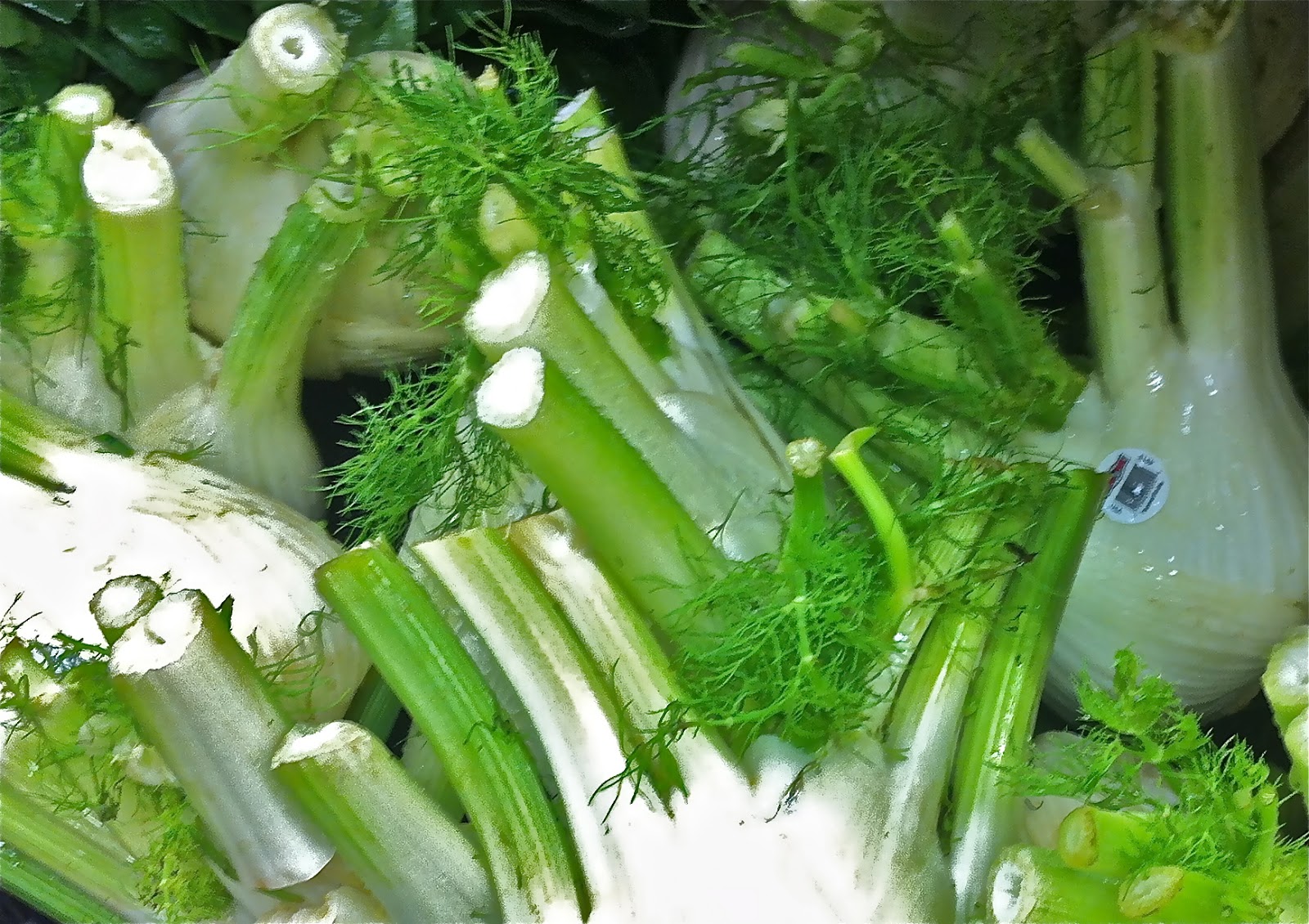 WARM GRILLED FENNEL SALAD with LEMONHONEY DRESSING