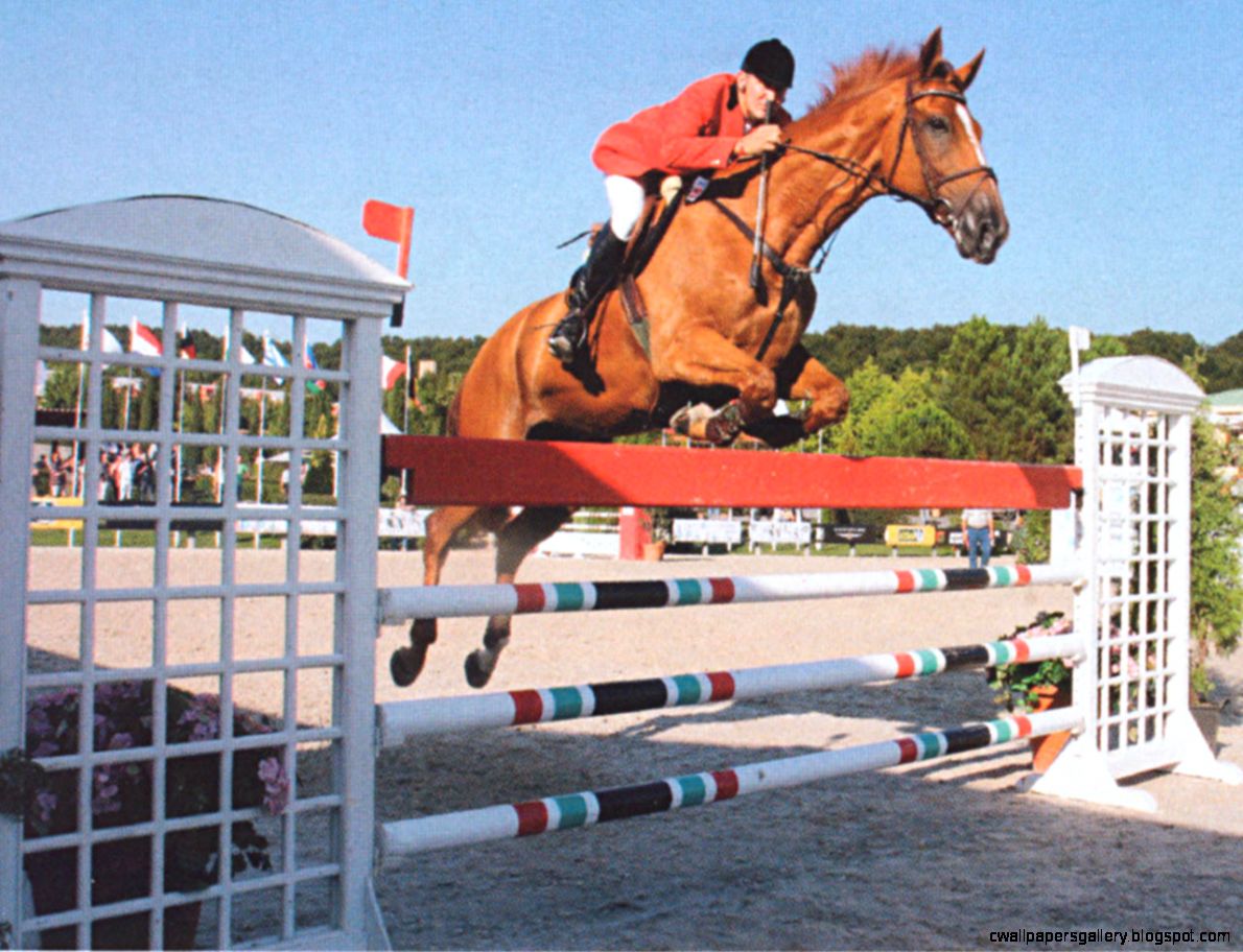 Horse Jumping Wallpaper Desktop