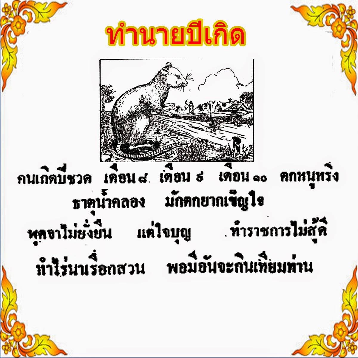 My Image 70