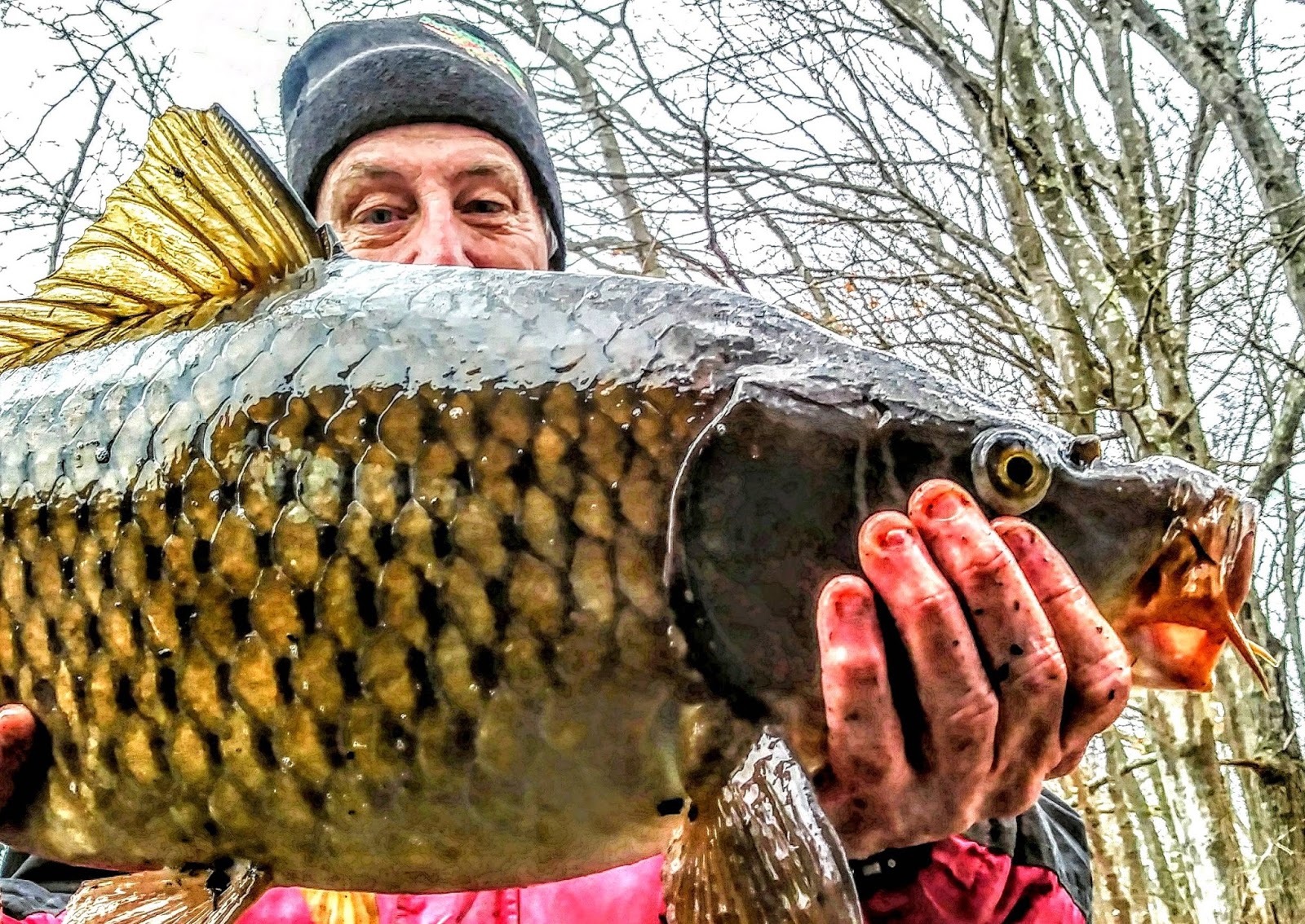 Rhode Island Carp Fishing Photo of the Day....First Decent One of the