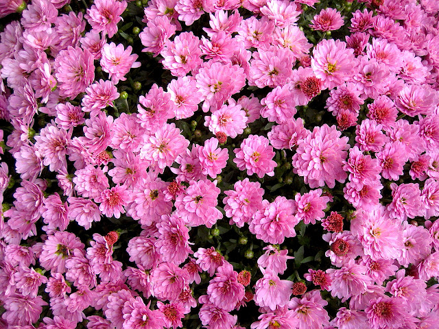 Bahnwarterhauschen Meine Herbstfarben 2017