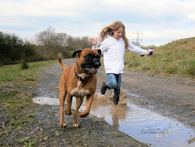girl and boxerdog muddy puddles