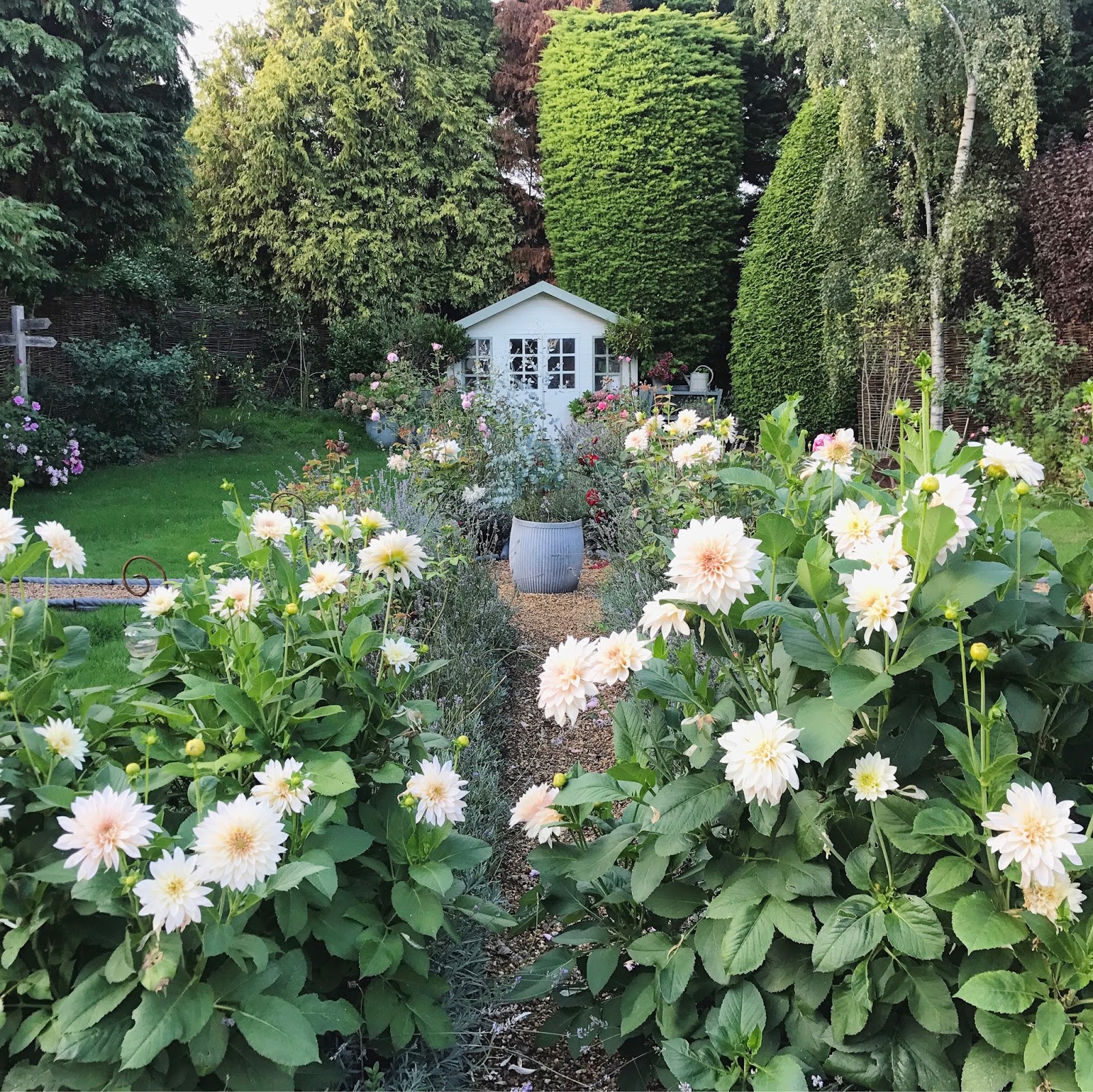 Garden // A month by month guide {another year, a lot of blooms
