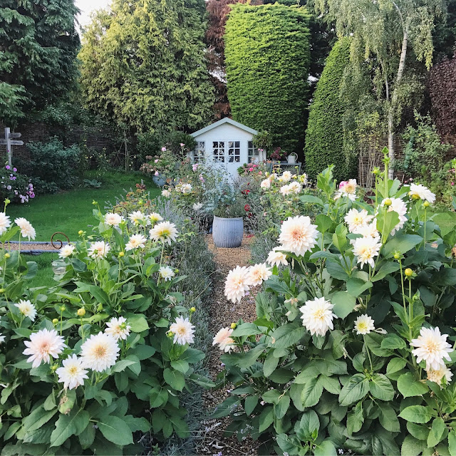 What Plant Where Beautiful Plant Combinations Ramblings From A