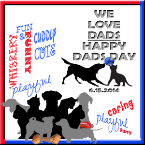 Animal Shelter Volunteer Life Happy Father S Day To Our Big Cat