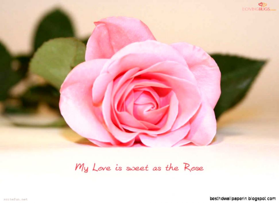 beautiful pictures love quotes romantic HD Wallpapers amp Backgroun