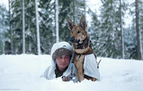 24 November 1939 worldwartwo.filminspector.com Finland soldier dog