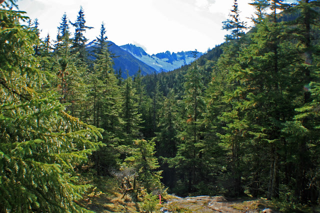 LA QUIMERA DEL ORO. EL CHILKOOT TRAIL (I) - LA ULTIMA FRONTERA. CRONICAS DE ALASKA (8)