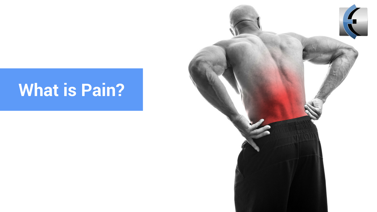 What is Pain? Modern Manual Therapy Blog Manual Therapy, Videos