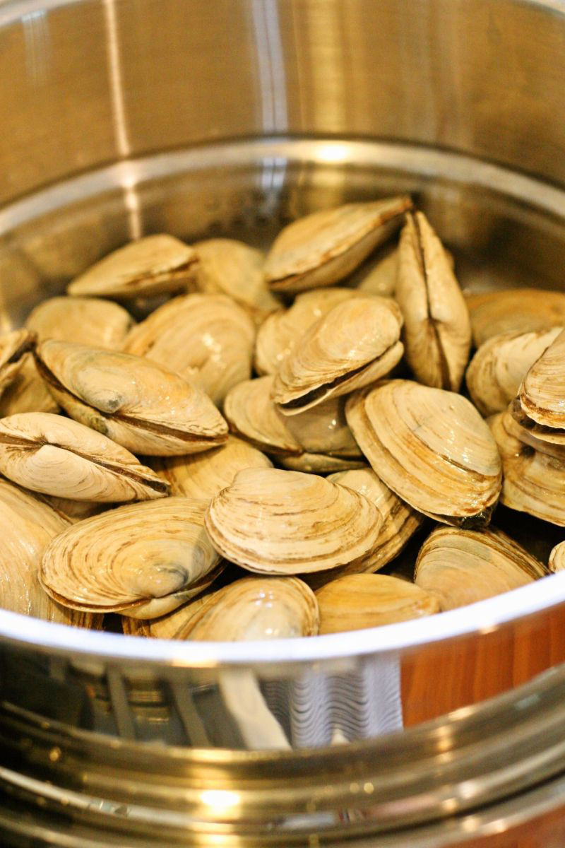 Perfectly imperfect New England Steamers