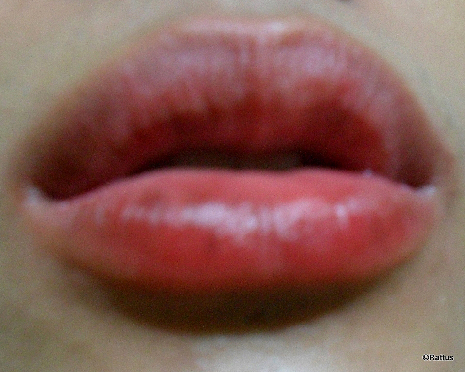 Nude Lip Stain 28
