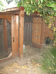 chicken coop urban doors corner standing porch egg its there right