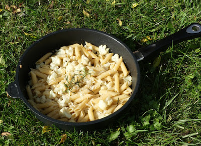 Pasta mit Blumenkohl, Sardellen und Rosmarin Pasta mit Blumenkohl, Sardellen und Rosmarin