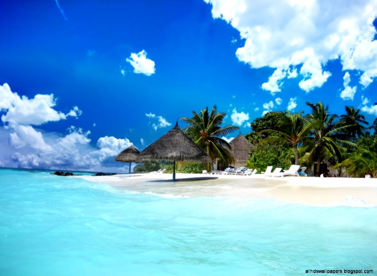 Tropical Island Beach