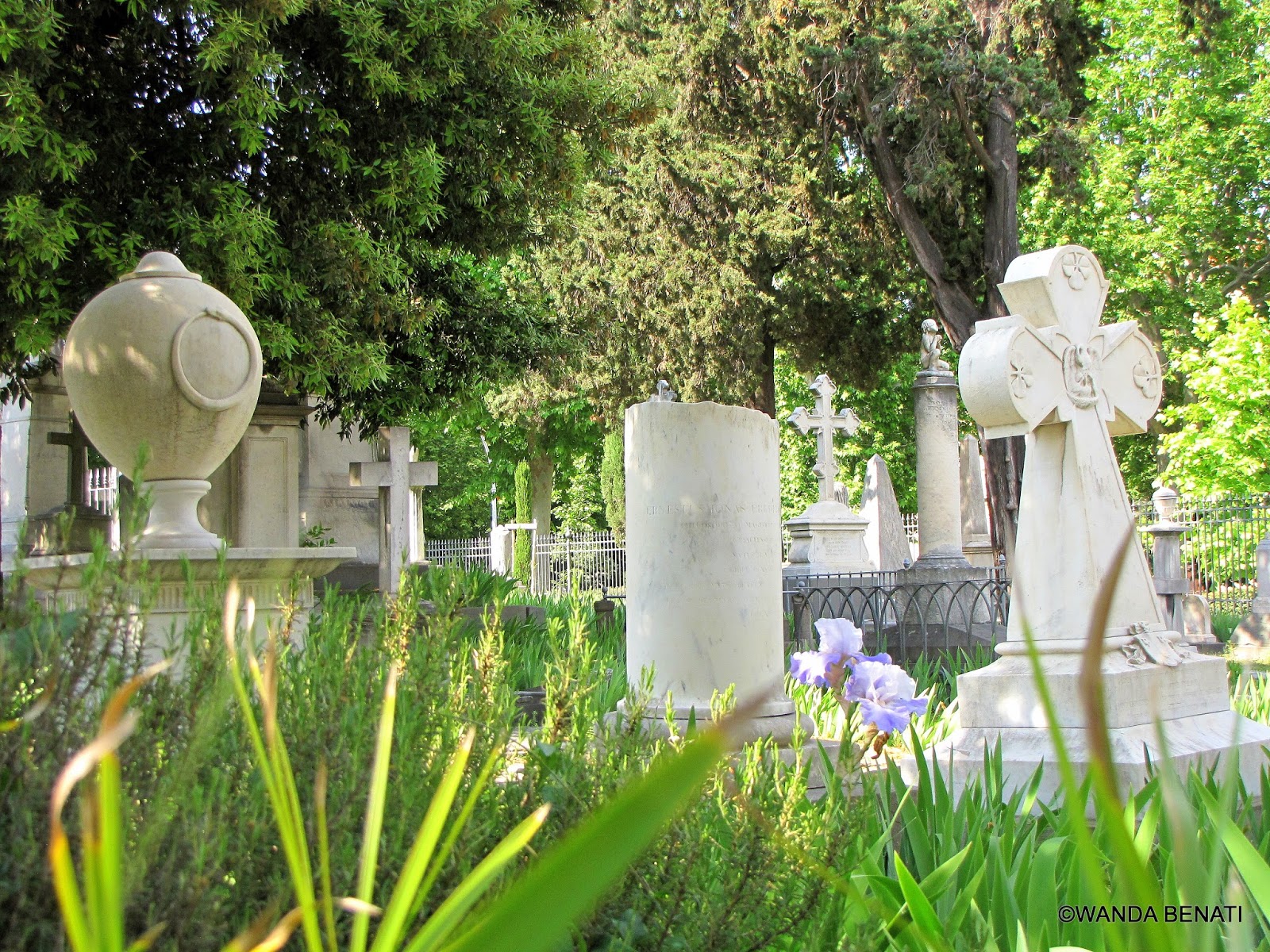 Bussando alle porte del silenzio,nel Cimitero degli Inglesi a Firenze
